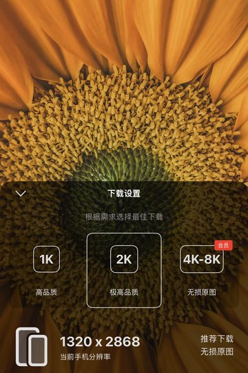 壁纸